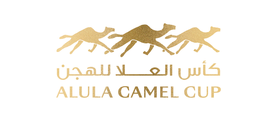 Project logo